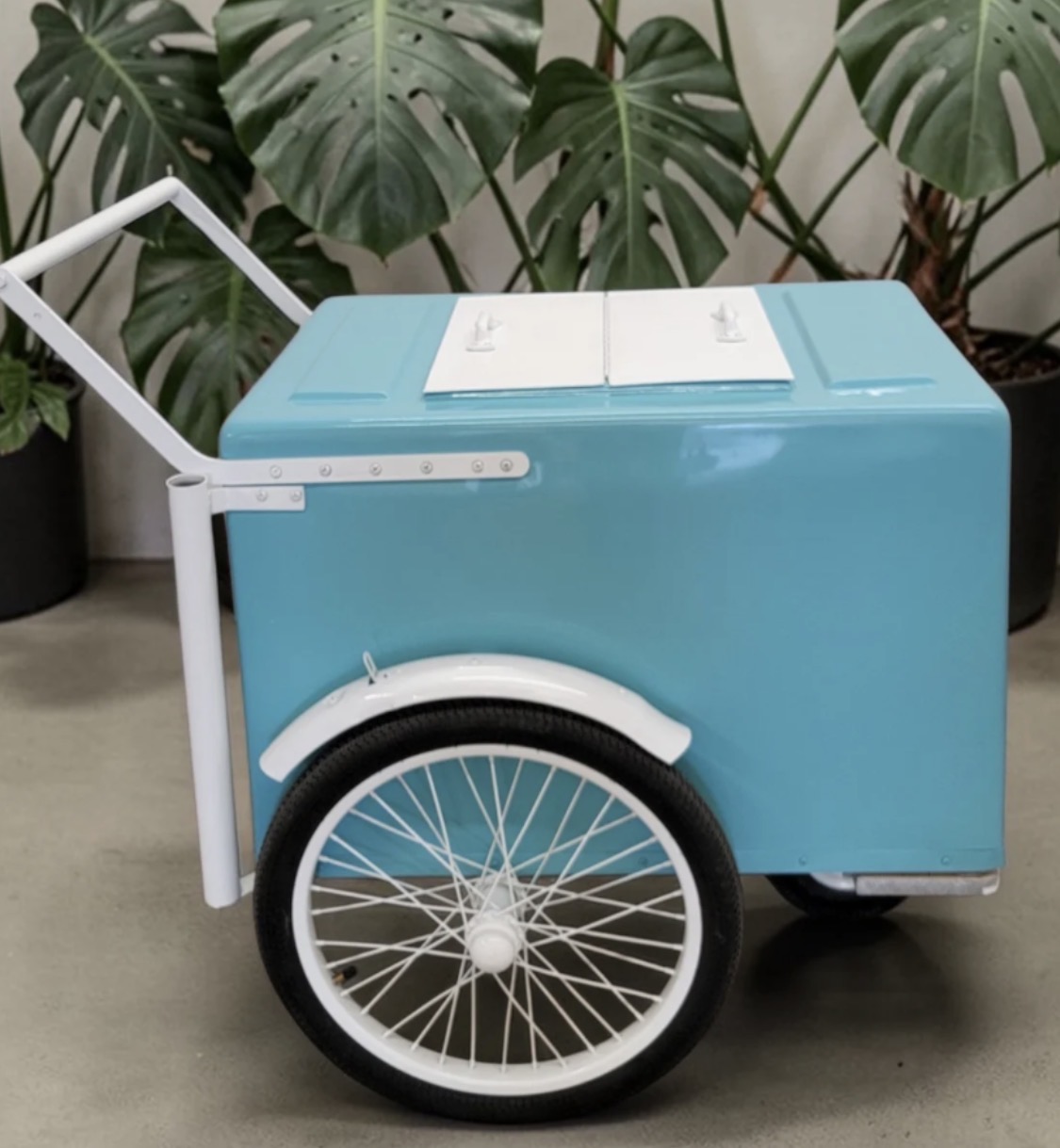 Paleta Cart